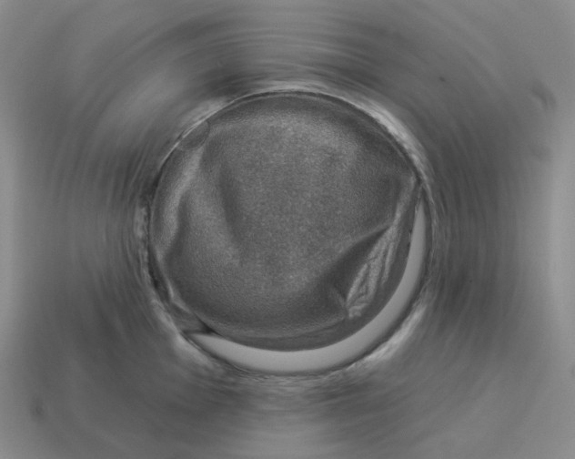 X0000114211001200911061441