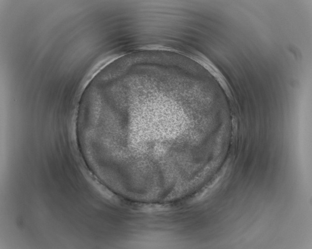 X0000114211002200911061441