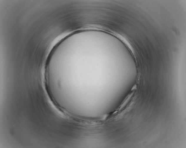 X0000114211003200911061441