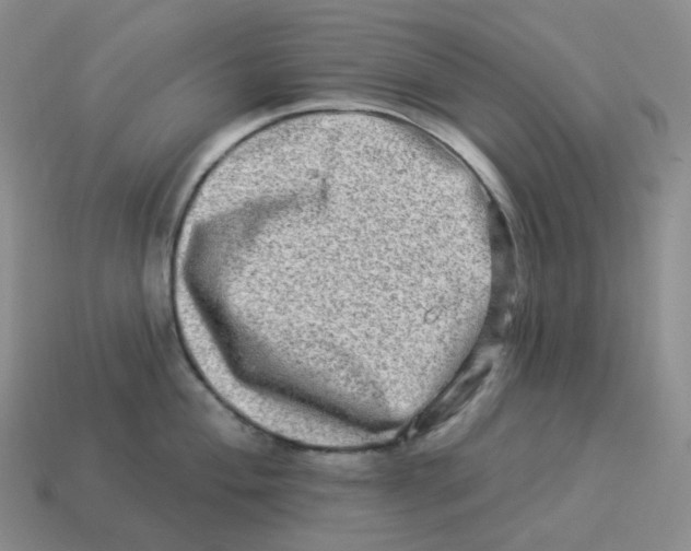 X0000114211004200911061441