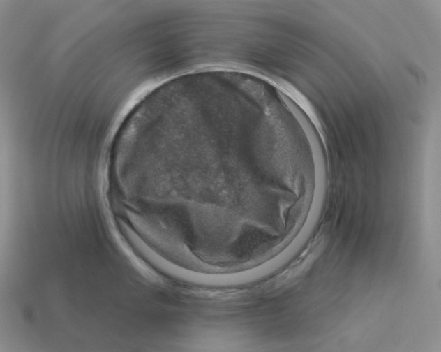 X0000114211005200911061441