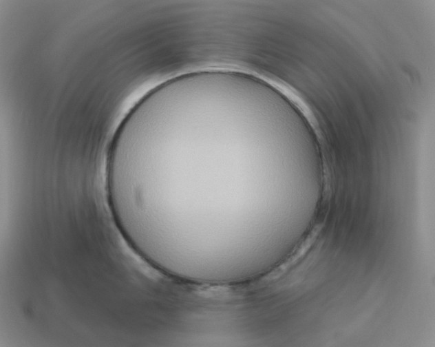 X0000114211006200911061441