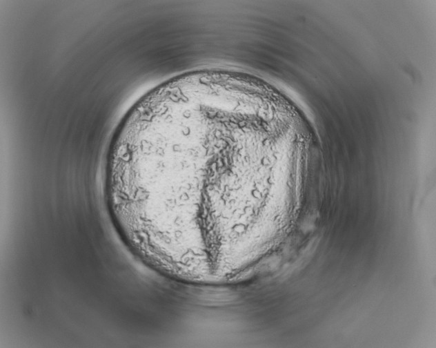 X0000114211007200911061441