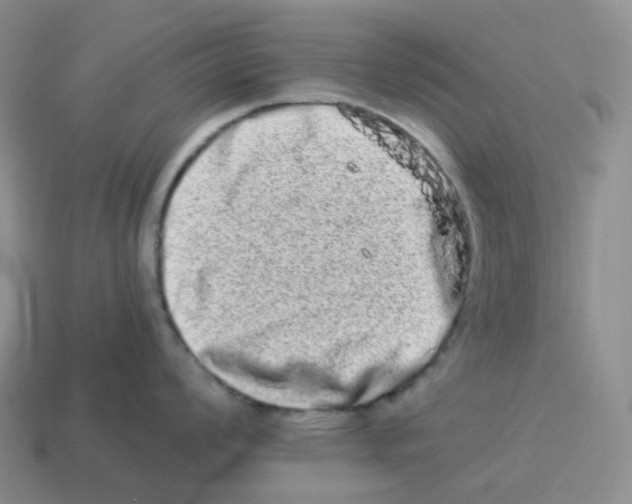 X0000114211008200911061441