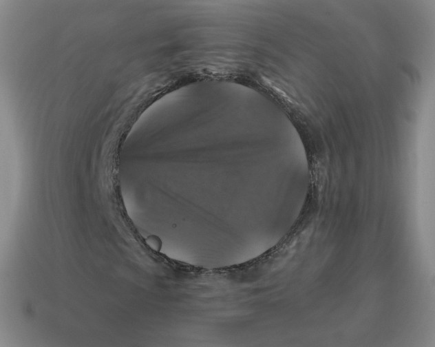 X0000114211009200911061440