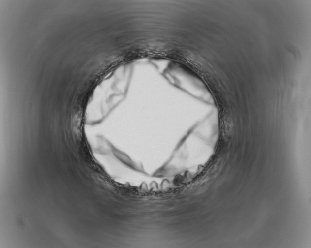 X0000114211010200911061440