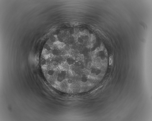 X0000114211011200911061440