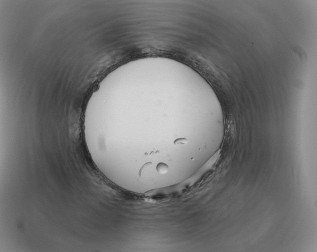 X0000114211012200911061440