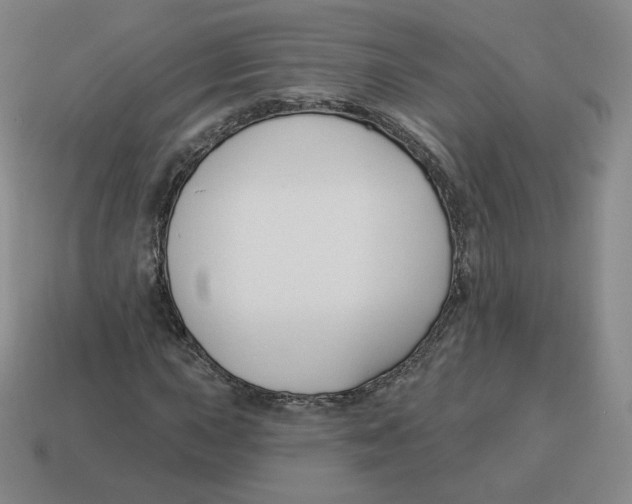 X0000114211015200911061441