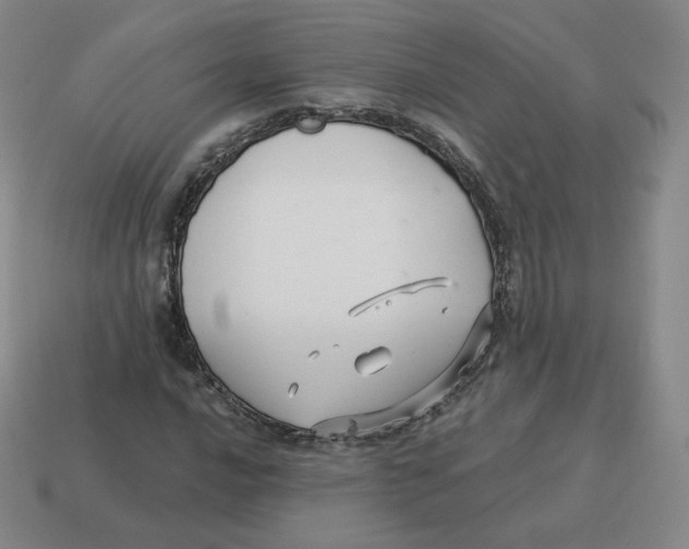 X0000114211016200911061441