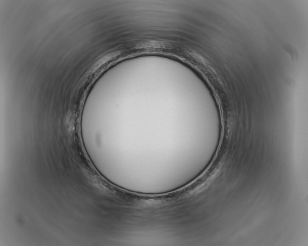 X0000114211017200911061441