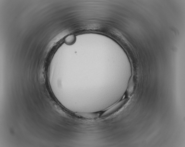 X0000114211018200911061441