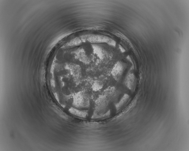 X0000114211019200911061441