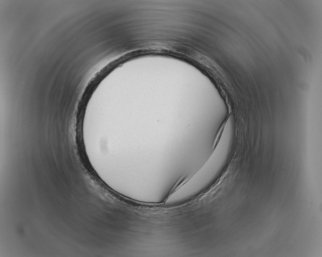 X0000114211020200911061441