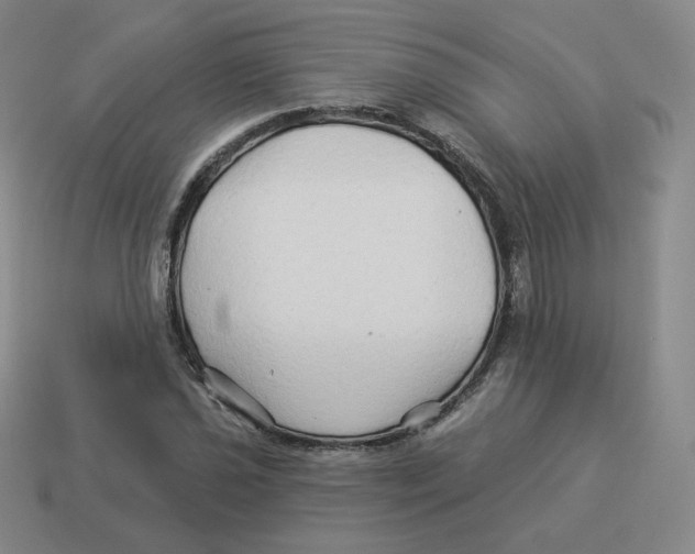 X0000114211021200911061441