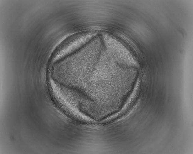 X0000114211023200911061441