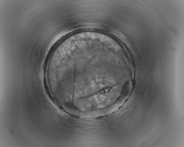 X0000114211024200911061441