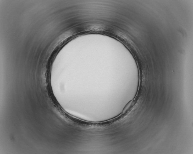 X0000114211026200911061441