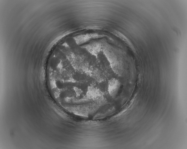 X0000114211027200911061441