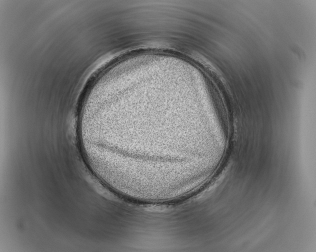 X0000114211029200911061441