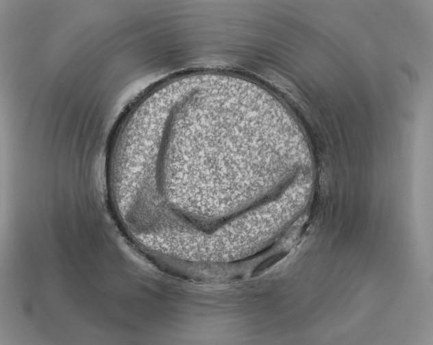 X0000114211030200911061441