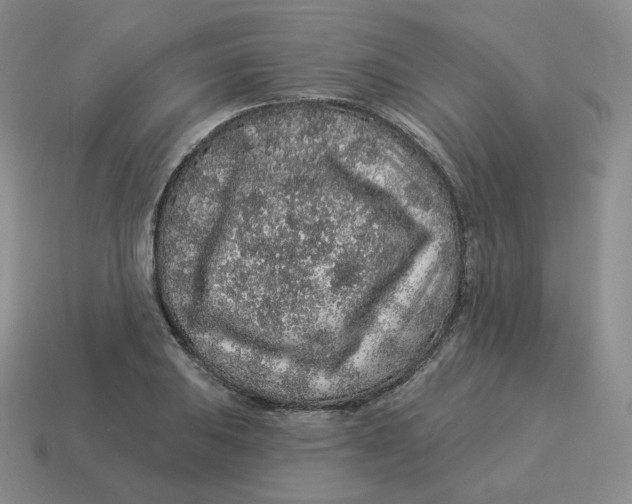 X0000114211031200911061441