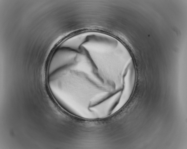 X0000114211032200911061441