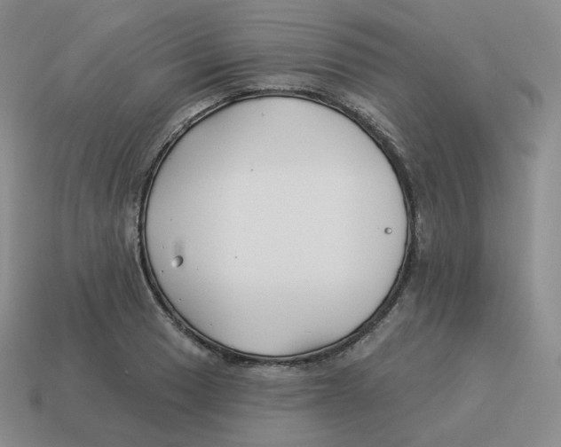 X0000114211033200911061441