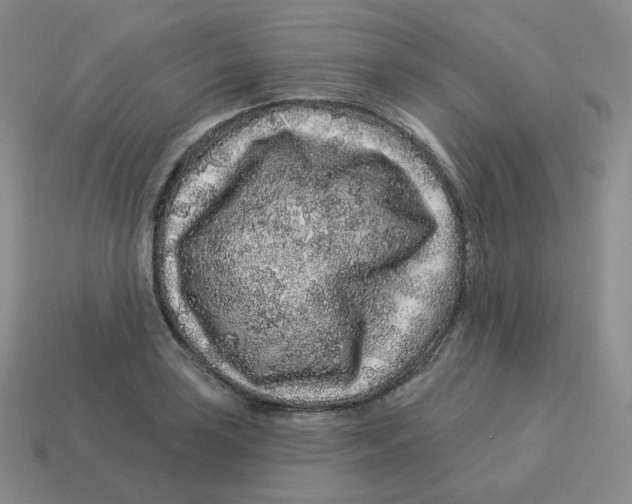 X0000114211035200911061441