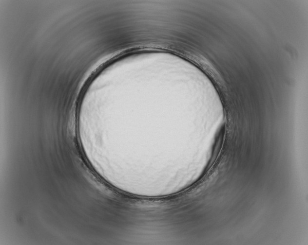 X0000114211036200911061441