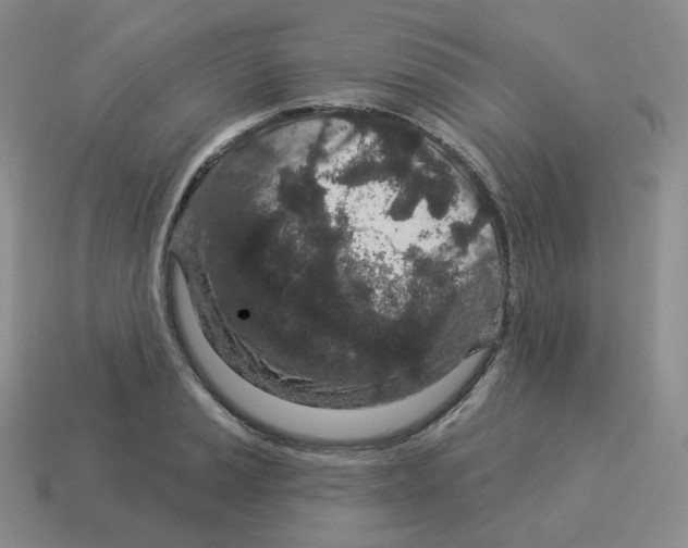 X0000114211037200911061441