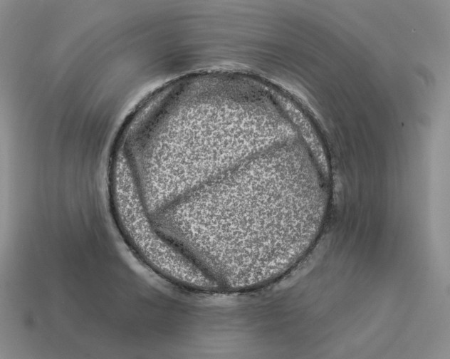 X0000114211038200911061441