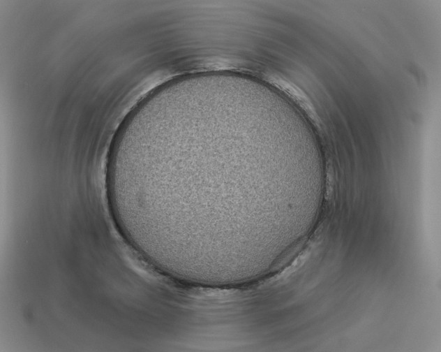 X0000114211039200911061441