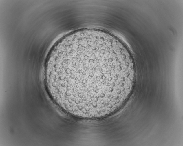 X0000114211040200911061441