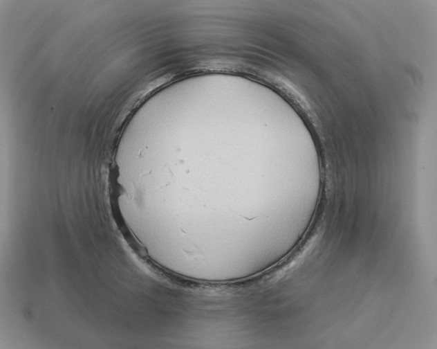 X0000114211041200911061441