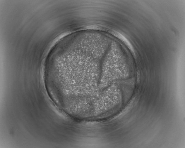 X0000114211043200911061441