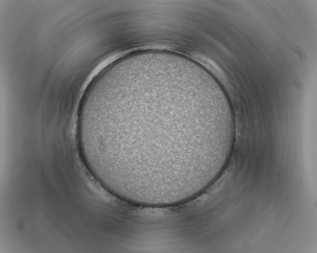 X0000114211044200911061441