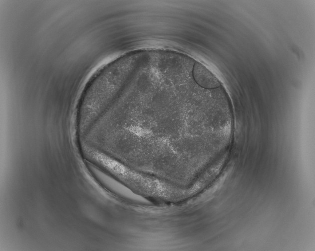 X0000114211045200911061441