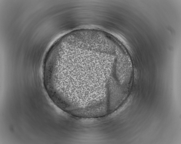 X0000114211046200911061441