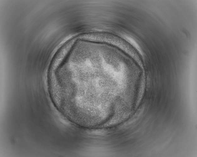 X0000114211047200911061441