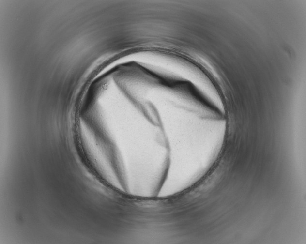 X0000114211048200911061441