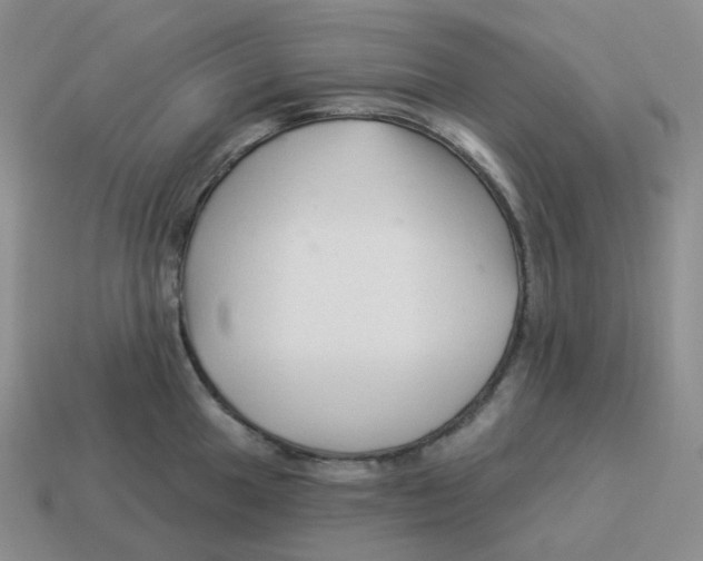 X0000114211049200911061441