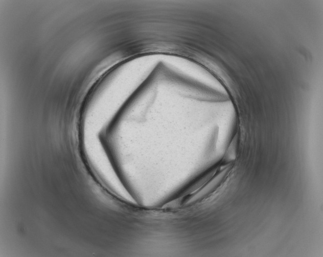 X0000114211050200911061441