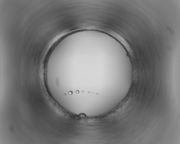 X0000114211051200911061441