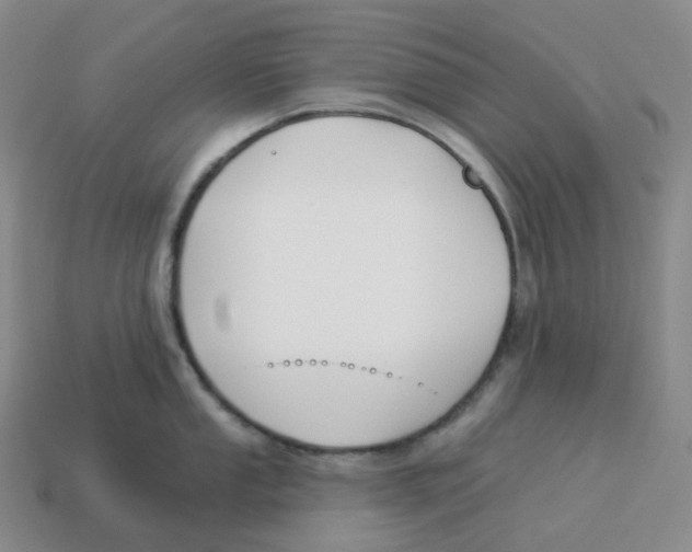 X0000114211053200911061441