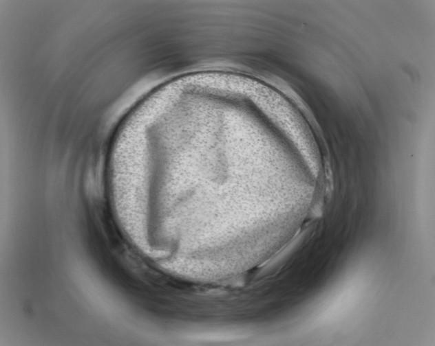 X0000114211054200911061441