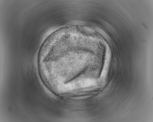 X0000114211055200911061441