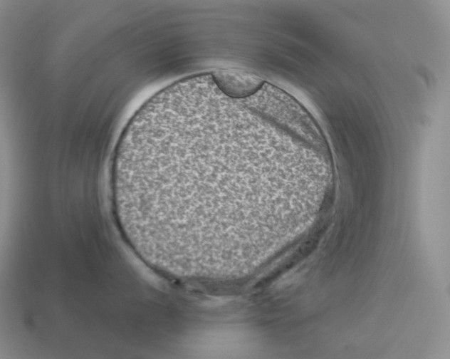 X0000114211056200911061441