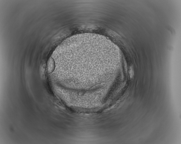 X0000114211059200911061440