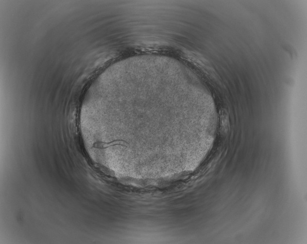 X0000114211060200911061440